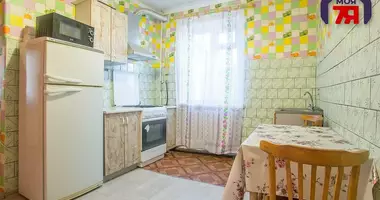 Cottage in maladziecna, Belarus