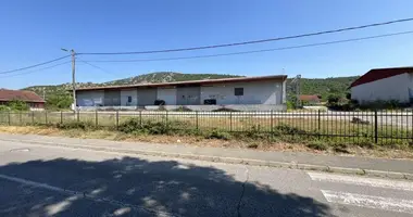 Коммерческое помещение в Спуж, Черногория