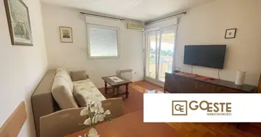 1 room apartment in Opcina Dezanovac, Croatia