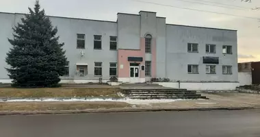 Commercial in Barysaw District, Belarus