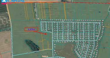 Plot of land in Satijai, Lithuania