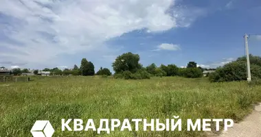 Участок земли в Острошицкий сельский Совет, Беларусь