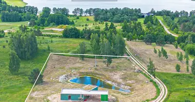 House in Glitai, Lithuania
