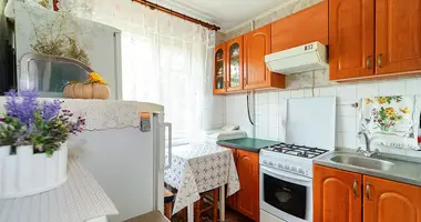 2 bedroom apartment in Minsk, Belarus