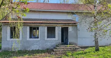 Dom w Bialarucki sielski Saviet, Białoruś