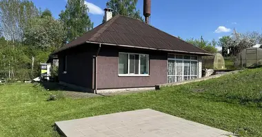 House in Piatryskauski sielski Saviet, Belarus