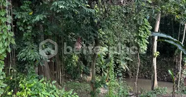 Parcela en Tumbak Bayuh, Indonesia