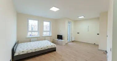 1 room apartment in Minsk, Belarus