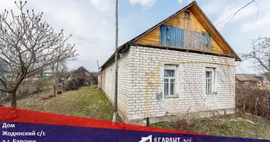 House in Barsuki, Belarus