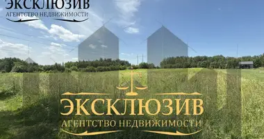 Plot of land in Pryliepy, Belarus