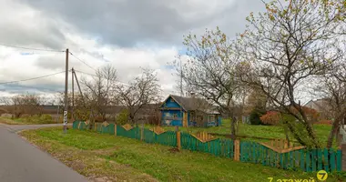 House in Partyzanski, Belarus