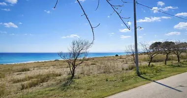 Plot of land in Nea Triglia, Greece
