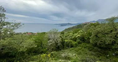 Участок земли в Radenovici, Черногория