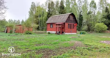 Haus in Rubiazevicki sielski Saviet, Belarus