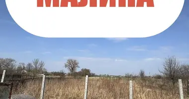 Haus in Kalinina, Belarus