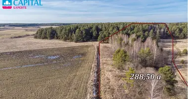Plot of land in Senasis Tarpupis, Lithuania
