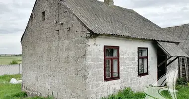 Dom w Lyscycki sielski Saviet, Białoruś