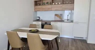 Mieszkanie 2 pokoi w Radovici, Czarnogóra