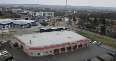 Propriété commerciale 1 050 m² dans Saxe-Anhalt, Allemagne