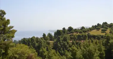 Parcelas 1 habitación en Paliouri, Grecia