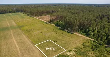 Grundstück in Didieji Lygainiai, Litauen