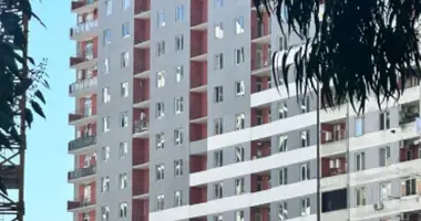 1 bedroom apartment in Tbilisi, Georgia