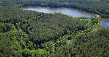 Terrain dans Svencioniu rajono savivaldybe, Lituanie