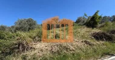 Участок земли в Golem, Албания