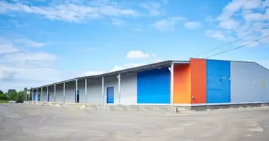 Almacén 2 100 m² en Bogorodsky city district, Rusia