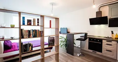1 bedroom apartment in Capital City of Prague, Czech Republic