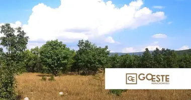 Grundstück in Opcina Dezanovac, Kroatien