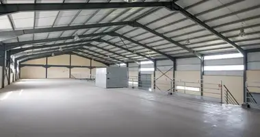 Entrepôt 1 550 m² dans Dali, Chypre