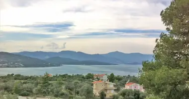 Plot of land in Lokroi Municipality, Greece
