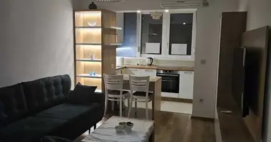 1 bedroom apartment in Montenegro