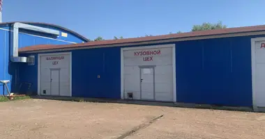 Gewerbefläche 600 m² in Nizino, Russland