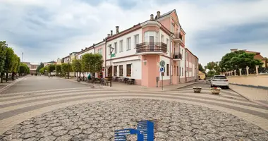 Gewerbefläche 1 384 m² in Pinsk, Belarus