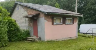 Haus in Putcynski sielski Saviet, Belarus
