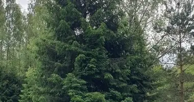 Plot of land in Deguciai, Lithuania