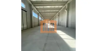Fabrication 2 000 m² dans Bashkia Durres, Albanie