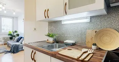 Wohnung 3 zimmer in Hauptstadt Prag, Tschechien