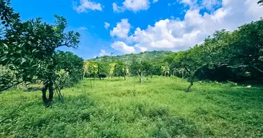 Plot of land in Chaisubani, Georgia
