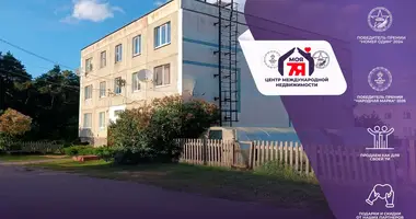 Apartamento 1 habitación en Ludvinova, Belarús