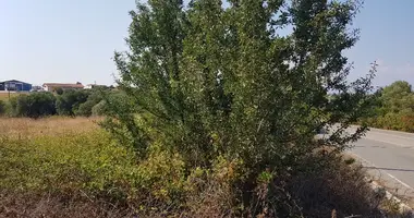 Terrain dans Afytos, Grèce
