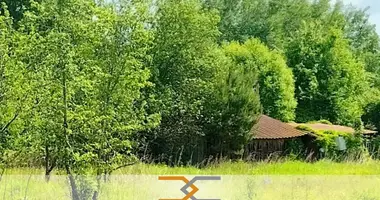 Участок земли в Октябрьский сельский Совет, Беларусь