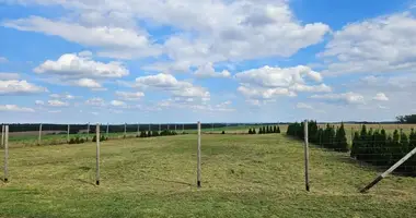 Parcela en Lubiatowo, Polonia
