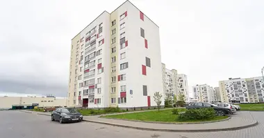 2 room apartment in Minsk, Belarus