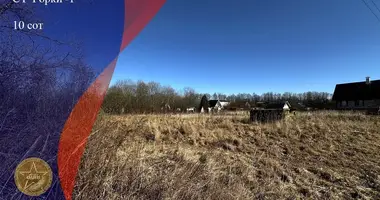 Plot of land in Dukorski sielski Saviet, Belarus