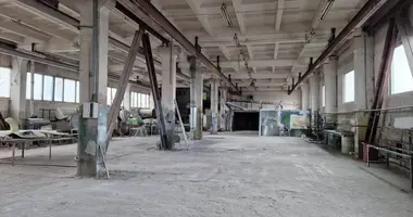 Propriété commerciale 1 030 m² dans Kaunas, Lituanie