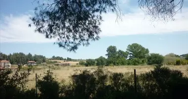 Terrain dans Siviri, Grèce