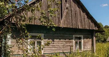 House in Valozynski sielski Saviet, Belarus